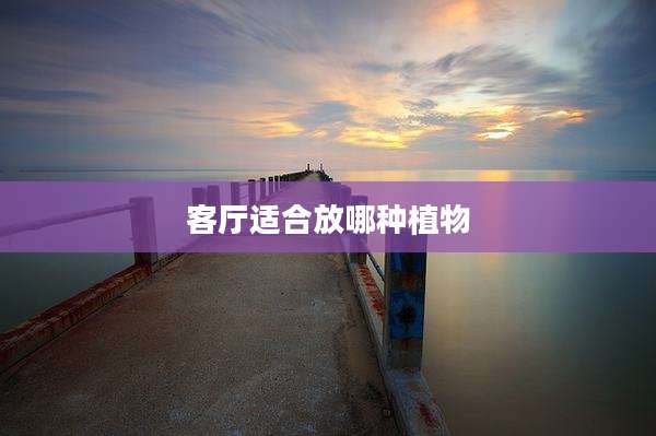 客厅适合放哪种植物
