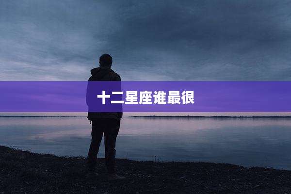 十二星座谁最很