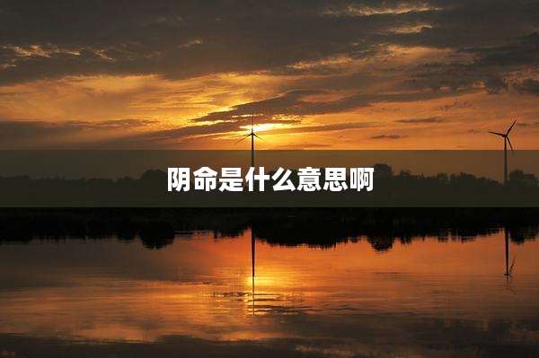 阴命是什么意思啊