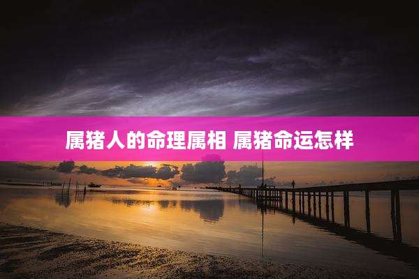 属猪人的命理属相 属猪命运怎样
