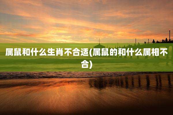 属鼠和什么生肖不合适(属鼠的和什么属相不合)