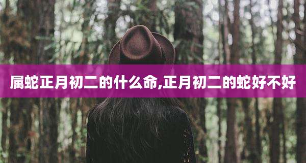 属蛇正月初二的什么命,正月初二的蛇好不好