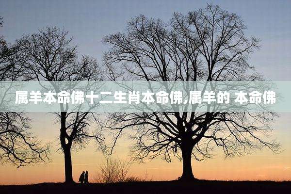 属羊本命佛十二生肖本命佛,属羊的 本命佛