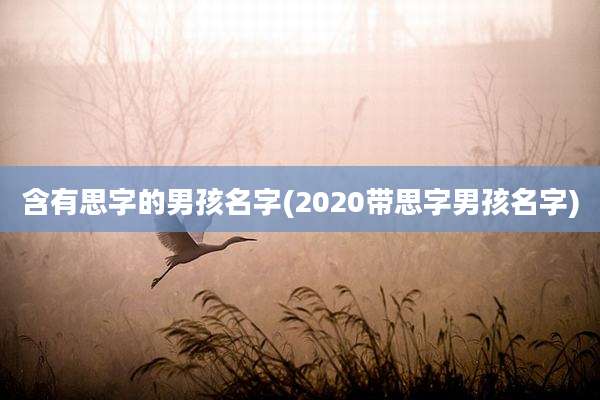 含有思字的男孩名字(2020带思字男孩名字)
