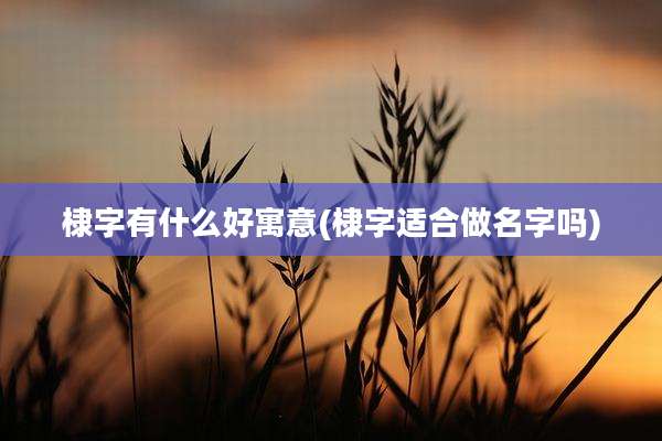 棣字有什么好寓意(棣字适合做名字吗)