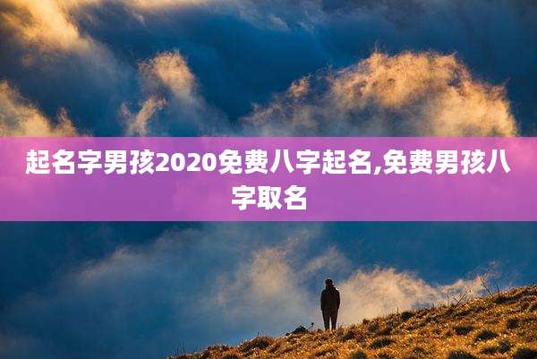 起名字男孩2020免费八字起名,免费男孩八字取名