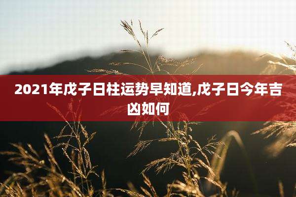 2021年戊子日柱运势早知道,戊子日今年吉凶如何