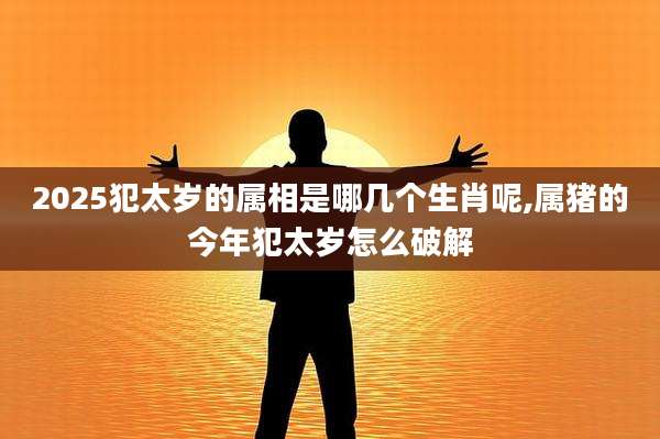2025犯太岁的属相是哪几个生肖呢,属猪的今年犯太岁怎么破解