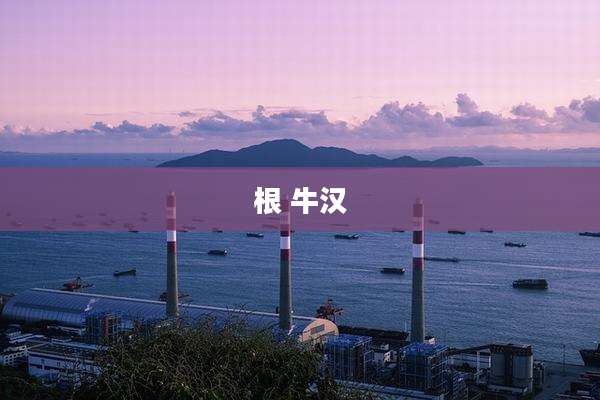 根 牛汉