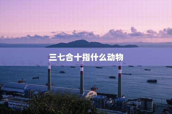 三七合十指什么动物