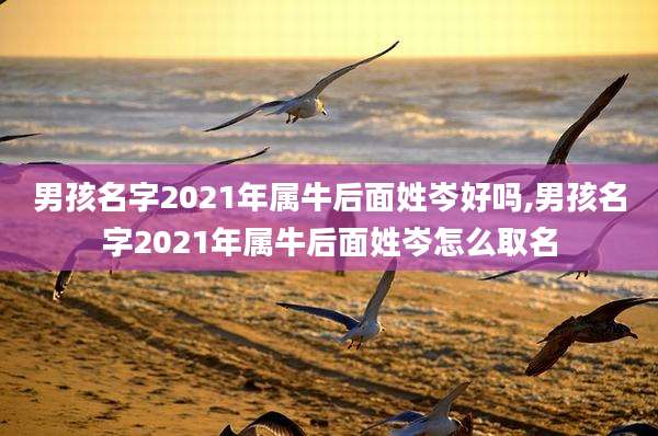 男孩名字2021年属牛后面姓岑好吗,男孩名字2021年属牛后面姓岑怎么取名