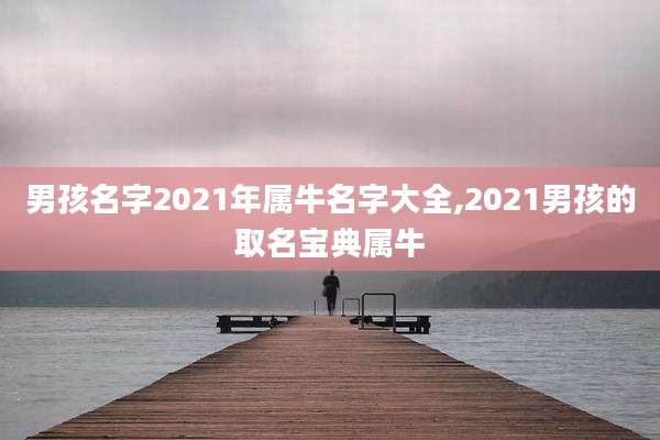 男孩名字2021年属牛名字大全,2021男孩的取名宝典属牛