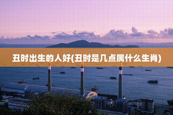 丑时出生的人好(丑时是几点属什么生肖)