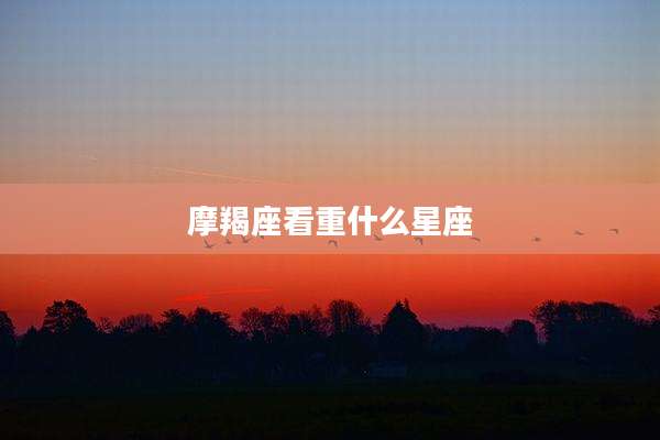 摩羯座看重什么星座