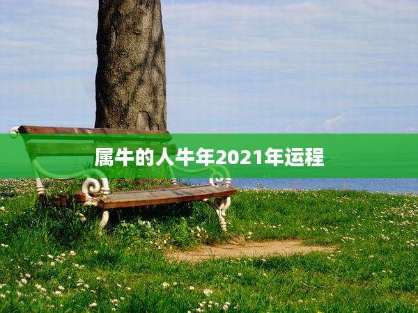 属牛的人牛年2021年运程