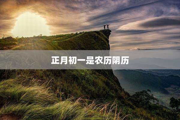 正月初一是农历阴历