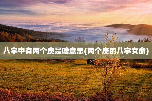 八字中有两个庚是啥意思(两个庚的八字女命)