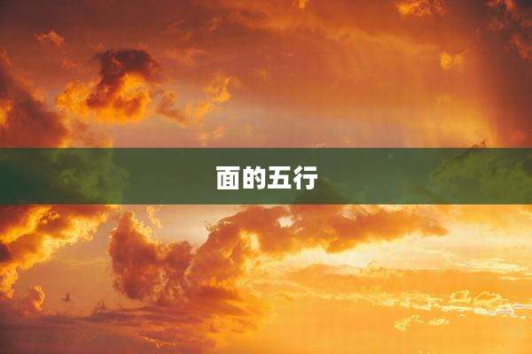 面的五行