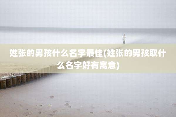 姓张的男孩什么名字最佳(姓张的男孩取什么名字好有寓意)