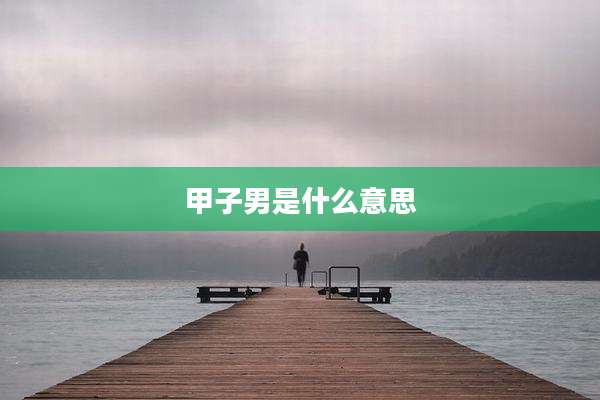 甲子男是什么意思