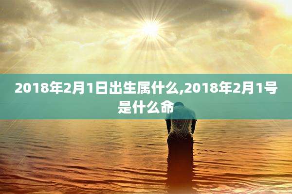 2018年2月1日出生属什么,2018年2月1号是什么命