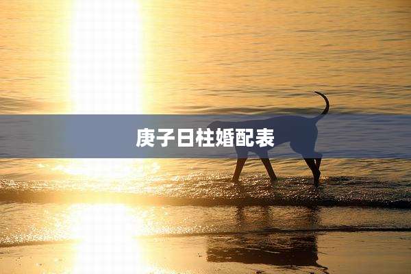 庚子日柱婚配表