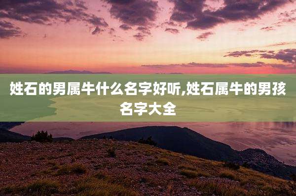 姓石的男属牛什么名字好听,姓石属牛的男孩名字大全