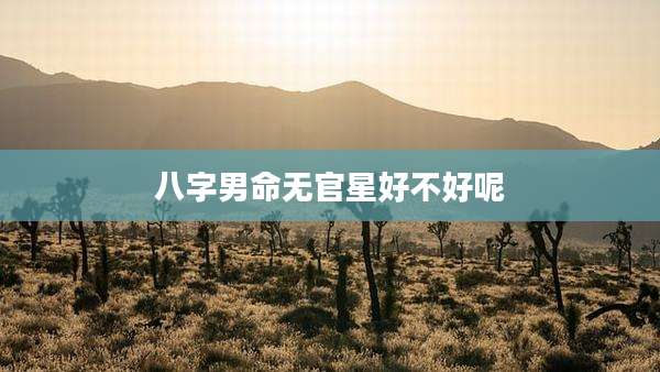 八字男命无官星好不好呢