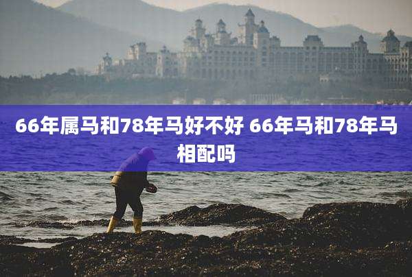 66年属马和78年马好不好 66年马和78年马相配吗
