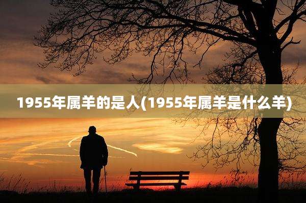 1955年属羊的是人(1955年属羊是什么羊)