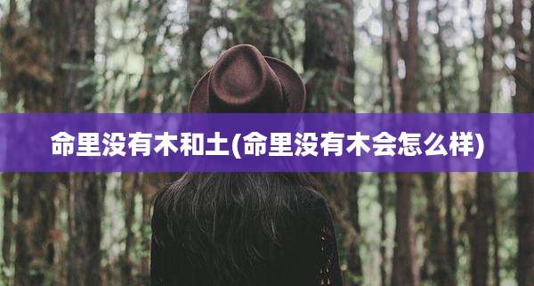 命里没有木和土(命里没有木会怎么样)