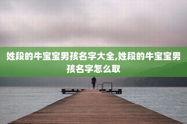 姓段的牛宝宝男孩名字大全,姓段的牛宝宝男孩名字怎么取