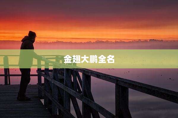 金翅大鹏全名