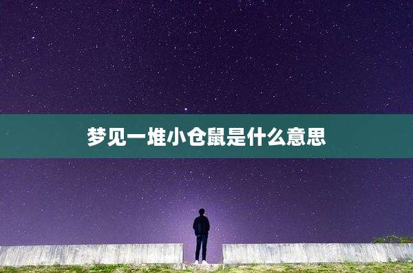 梦见一堆小仓鼠是什么意思