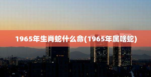 1965年生肖蛇什么命(1965年属啥蛇)