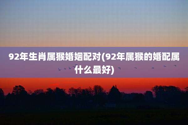 92年生肖属猴婚姻配对(92年属猴的婚配属什么最好)