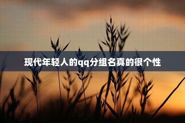 现代年轻人的qq分组名真的很个性