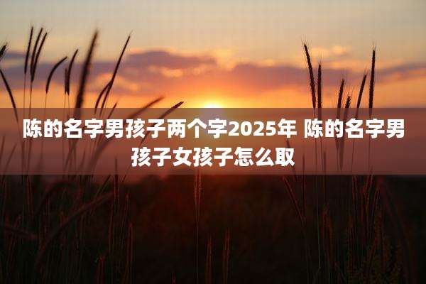 陈的名字男孩子两个字2025年 陈的名字男孩子女孩子怎么取