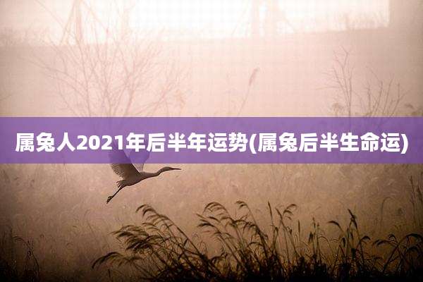 属兔人2021年后半年运势(属兔后半生命运)