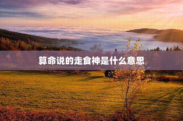 算命说的走食神是什么意思
