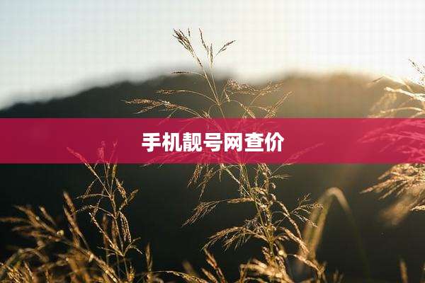 手机靓号网查价