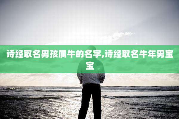 诗经取名男孩属牛的名字,诗经取名牛年男宝宝