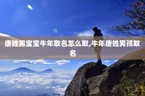 唐姓男宝宝牛年取名怎么取,牛年唐姓男孩取名