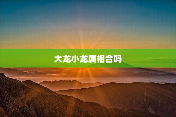 大龙小龙属相合吗
