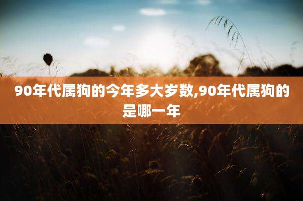 90年代属狗的今年多大岁数,90年代属狗的是哪一年