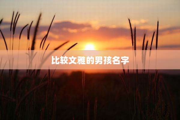 比较文雅的男孩名字