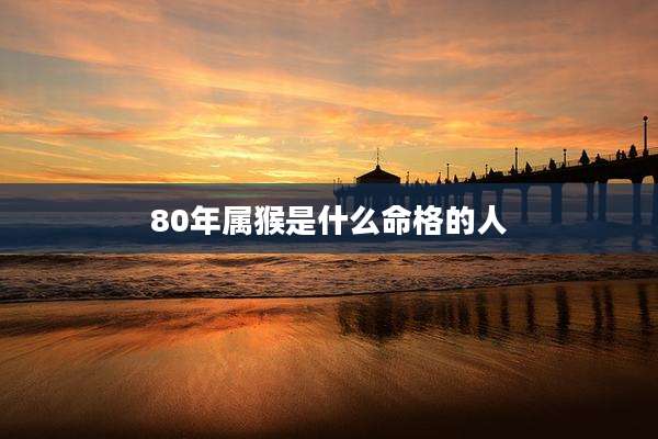80年属猴是什么命格的人
