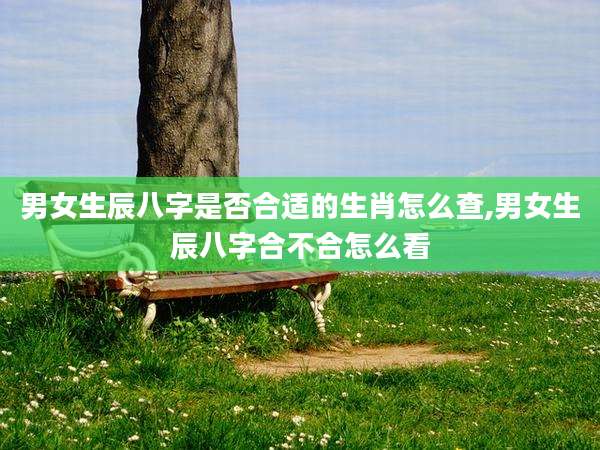 男女生辰八字是否合适的生肖怎么查,男女生辰八字合不合怎么看