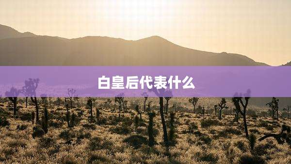 白皇后代表什么