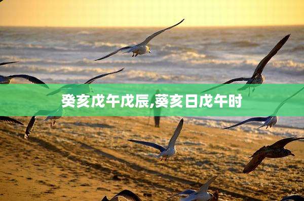 癸亥戊午戊辰,葵亥日戊午时